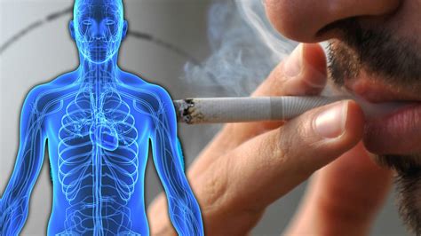 cum să renunți la fumat cu varice?